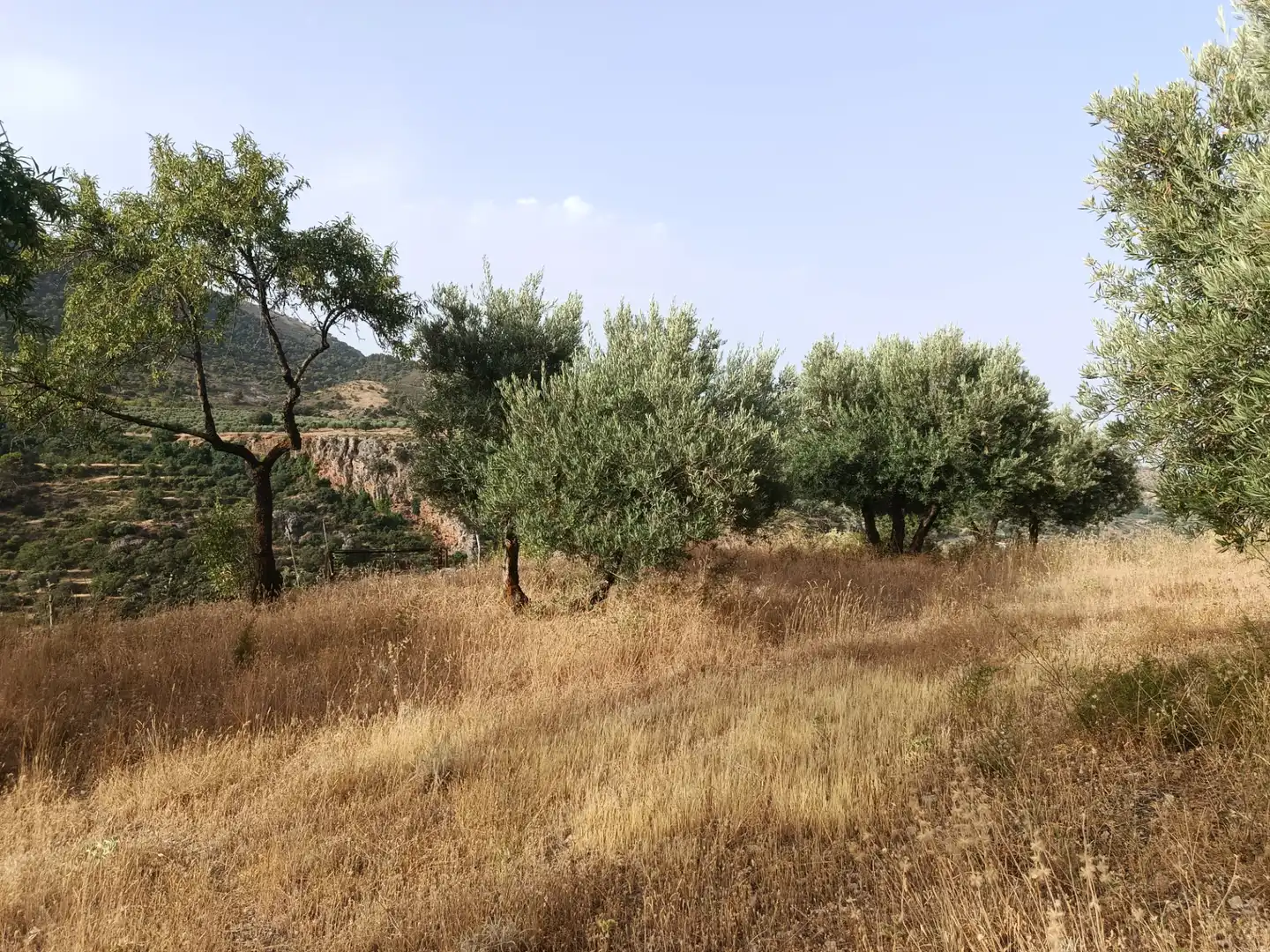 Terreni e lotti in vendita a Cogollos de la Vega, imagen 2
