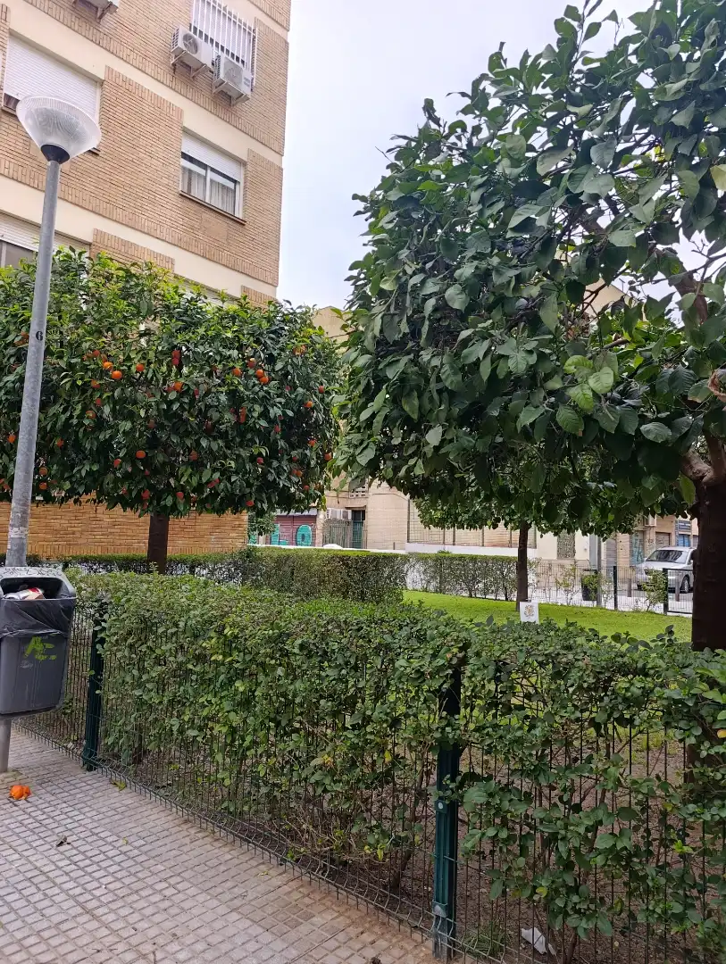 Garden of Flat for sale in Sevilla  with Furnished and Balcony