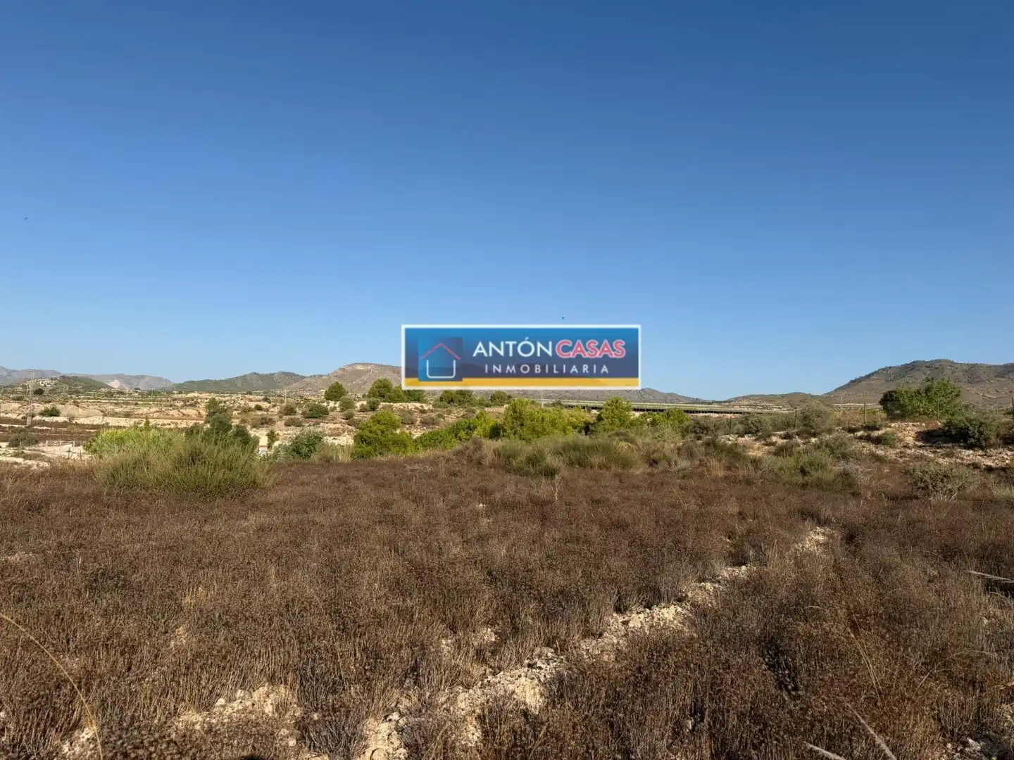 Rural land for sale in Novelda, imagen 4
