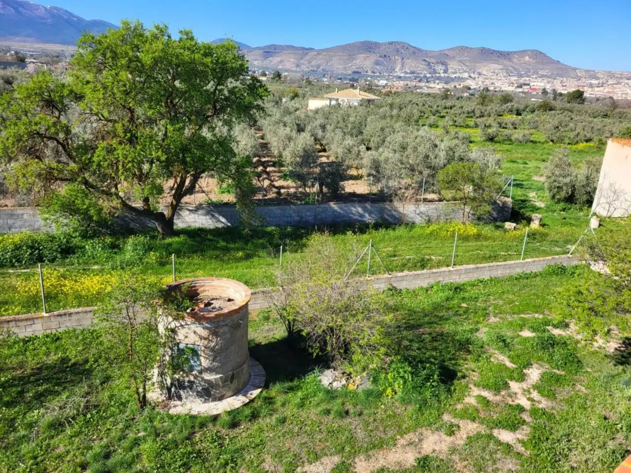 Casa o xalet en venda en Baza amb Terrassa