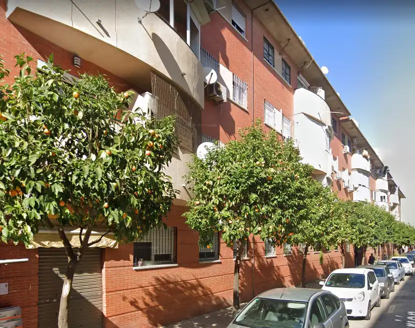 Wohnung mit Terrasse zum Verkauf in Norte