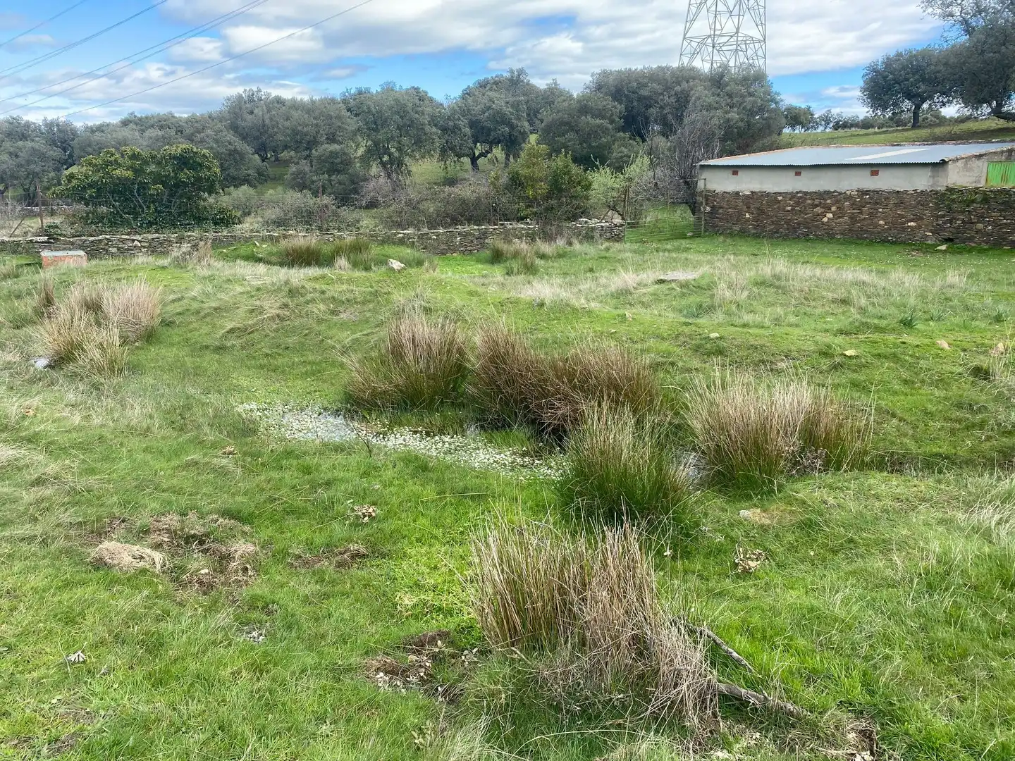 Terreny en venda en Mohedas de la Jara