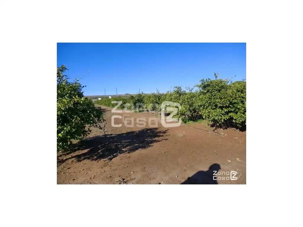 Country house for sale in Algemesí
