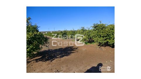 FINCA RUSTICA