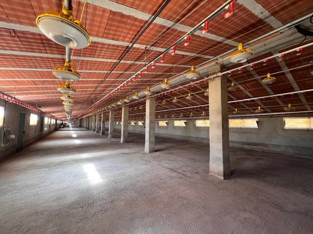 Nave industrial en Venta en Andilla