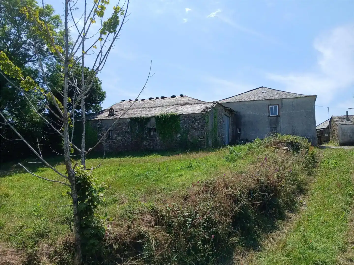 Finca rústica en venda en A Fonsagrada 