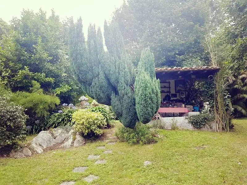 House with terrace for sale in Bricia, imagen 18