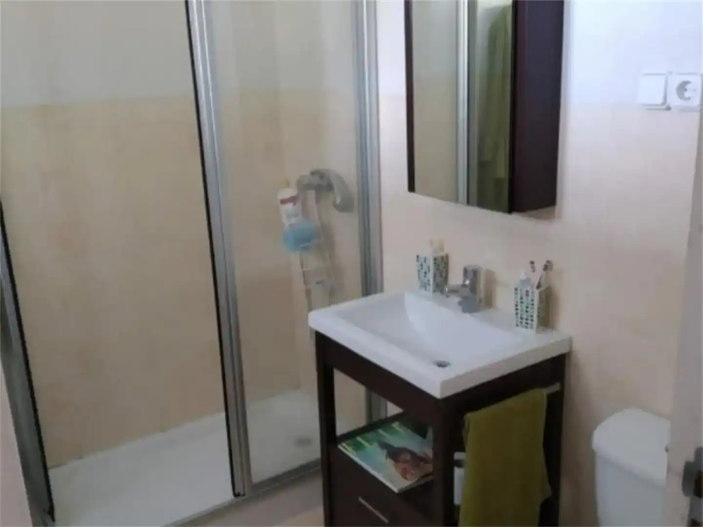 Bathroom of Flat for rent in Bakio  with Parquet flooring and Furnished