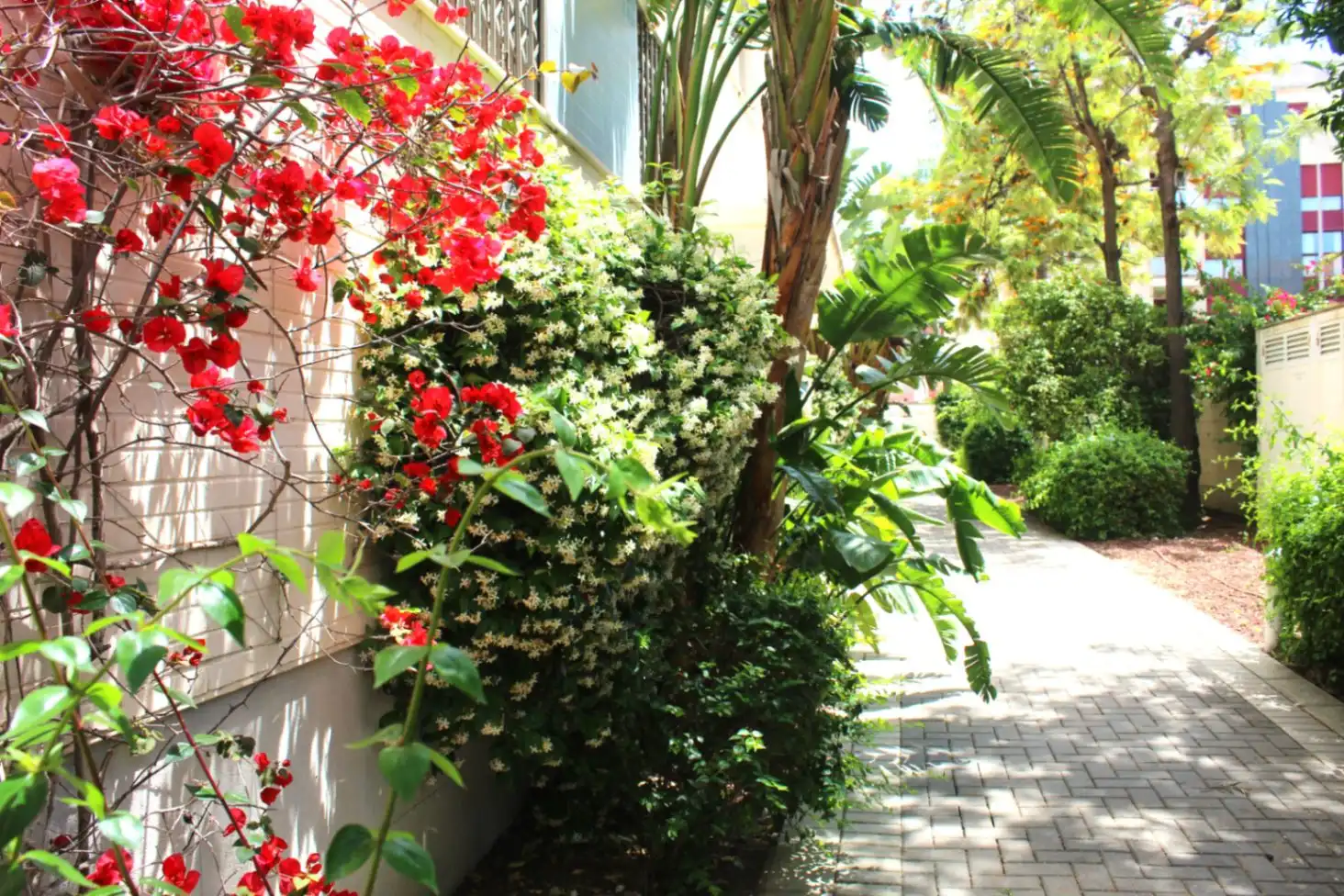 Penthouse with pool for sale in Las Marinas / Les Marines, imagen 58