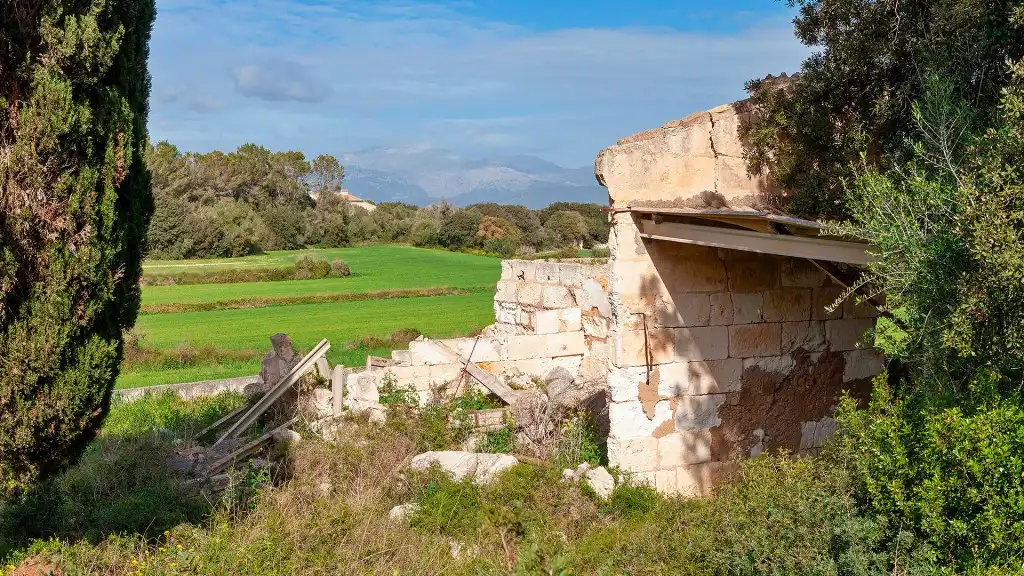 Rural land for sale in Muro, imagen 11