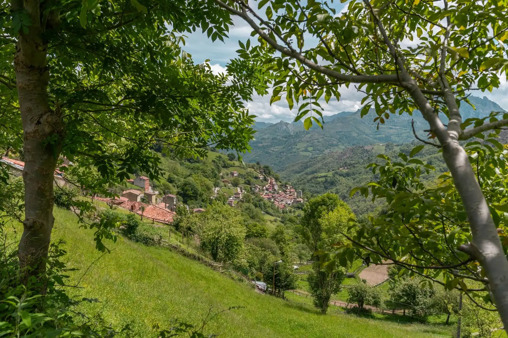 Adossat amb jardí en venda a Lugar MERUXAL,EL 40, imagen 15