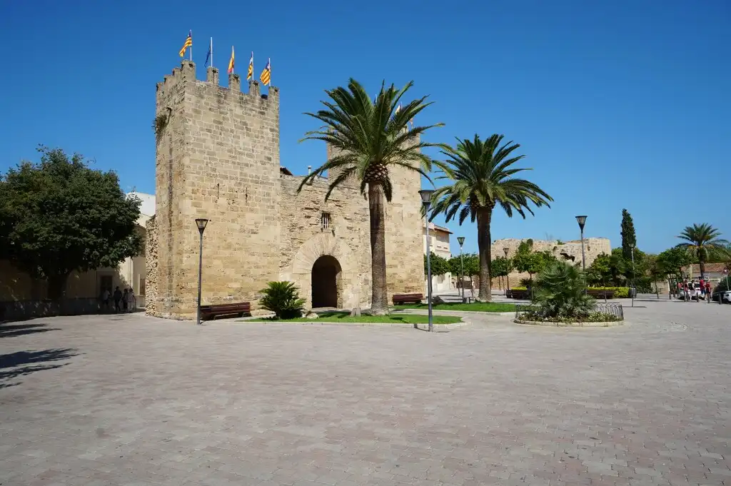 Terreny rústic en venda a Ciutat d'Alcúdia, imagen 11