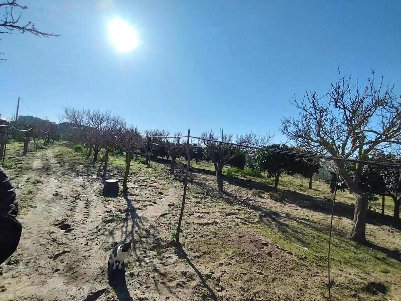 Casa rústica en venda a Las Manchuelas, imagen 15