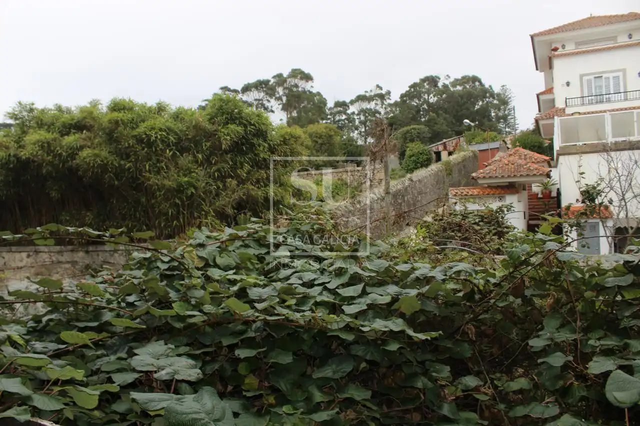 Casa rústica amb jardí en venda a A Guarda, imagen 7