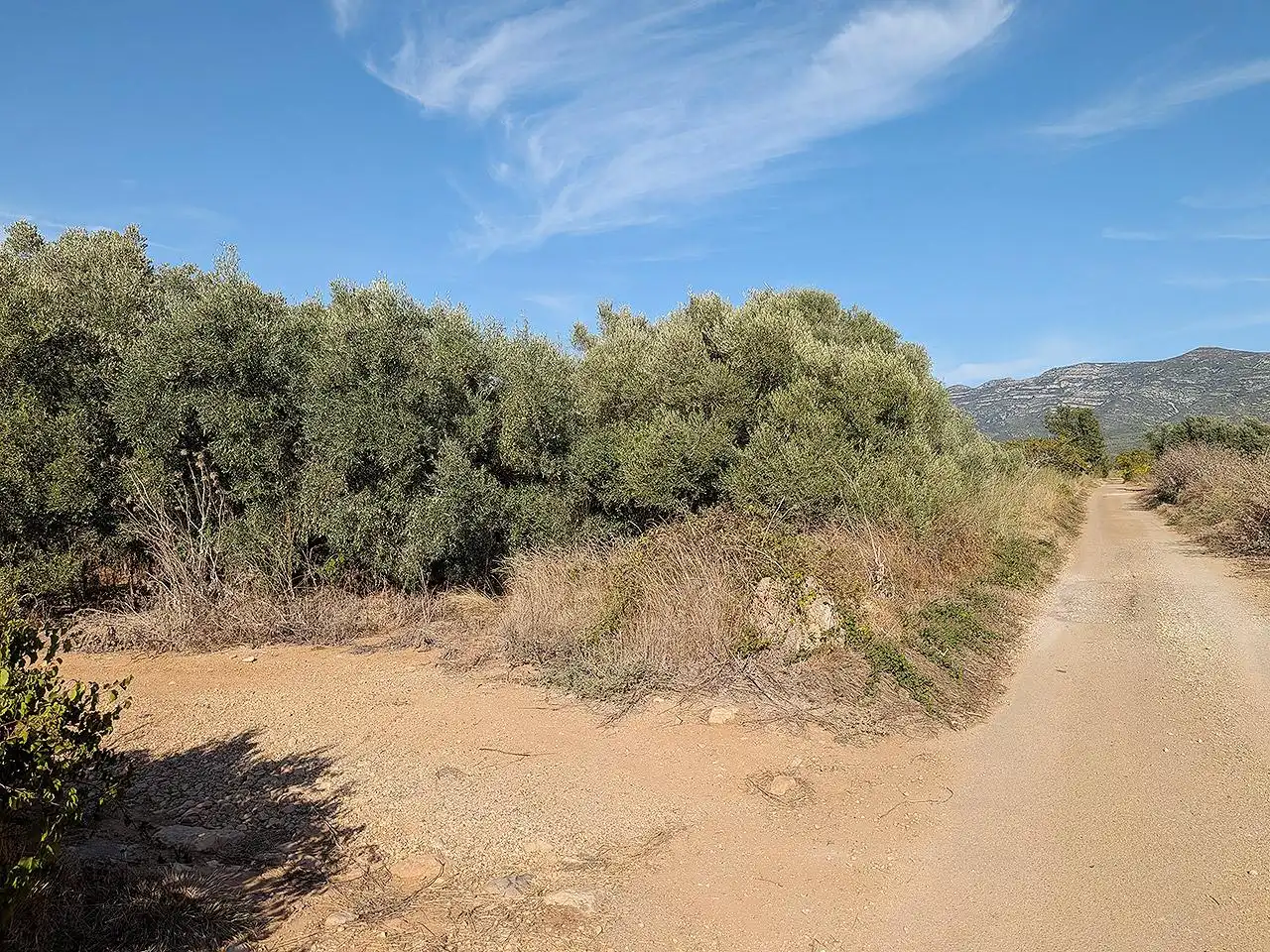 Country homes for sale in Ulldecona