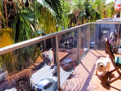 Terrace of Flat for sale in San Vicente del Raspeig / Sant Vicent del Raspeig  with Air Conditioner, Terrace and Balcony