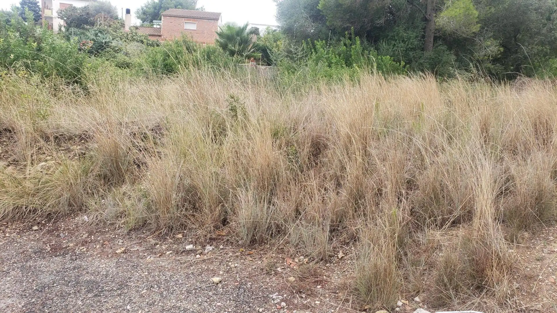 Residential land for sale in Calle dels Almogavers 6, imagen 7