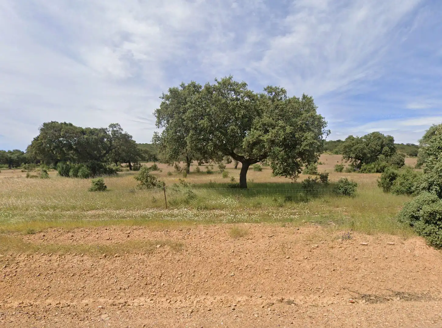 Terreny rústic en venda a Villanueva de la Serena, imagen 5