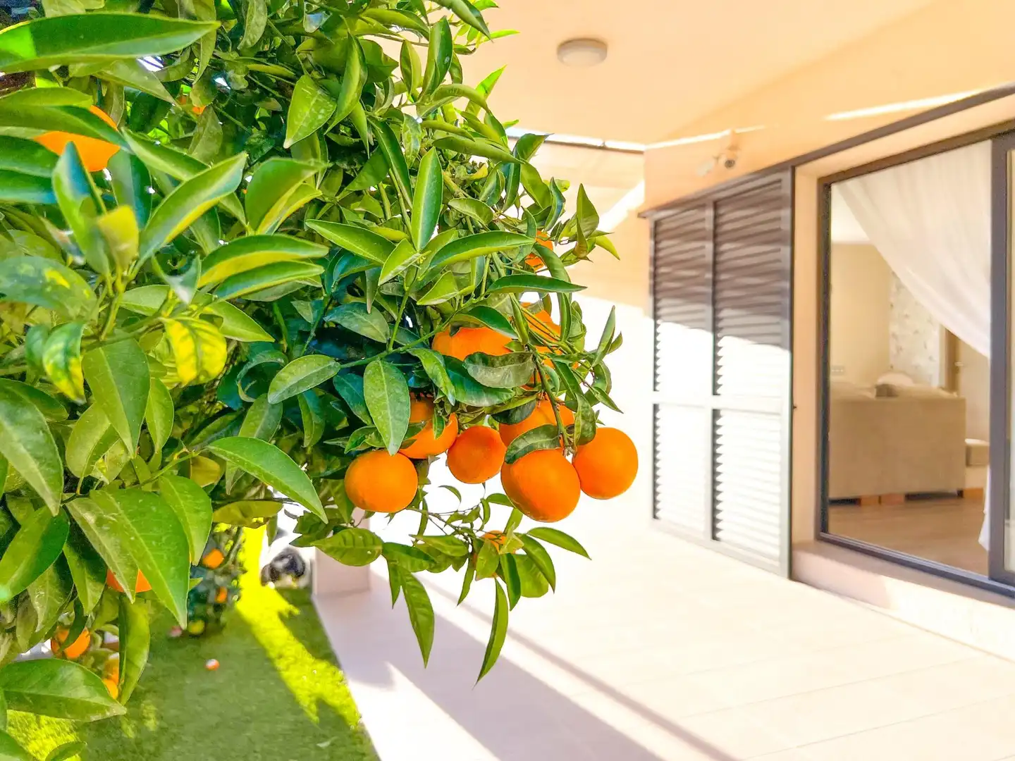 Casa o chalet en venta en Mar Cambrils
