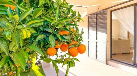 Photo 2 of House or chalet for sale in Mar Cambrils, Cambrils