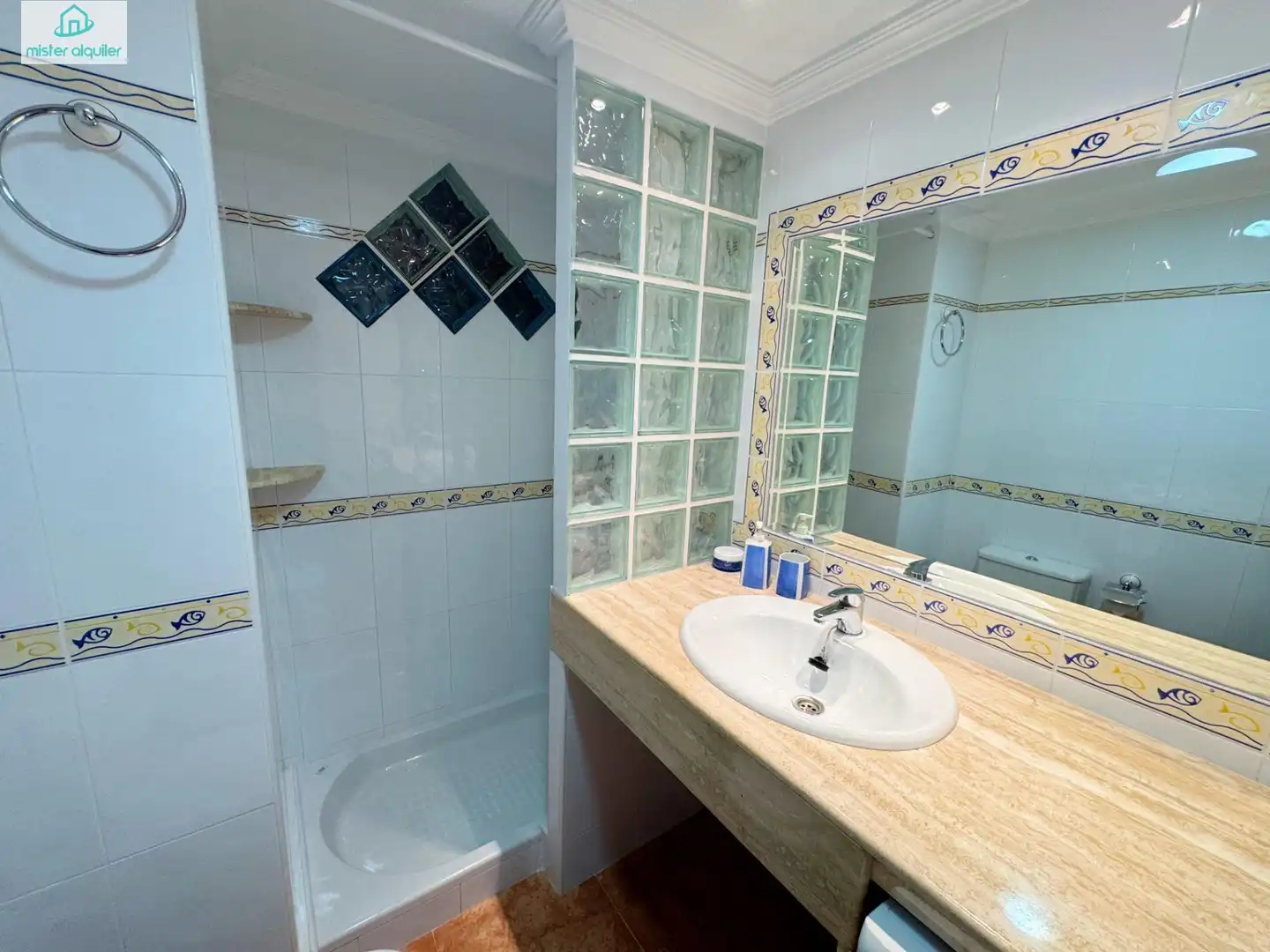 Apartament amb terrassa de lloguer a Calle SANT VICENT 109, imagen 56