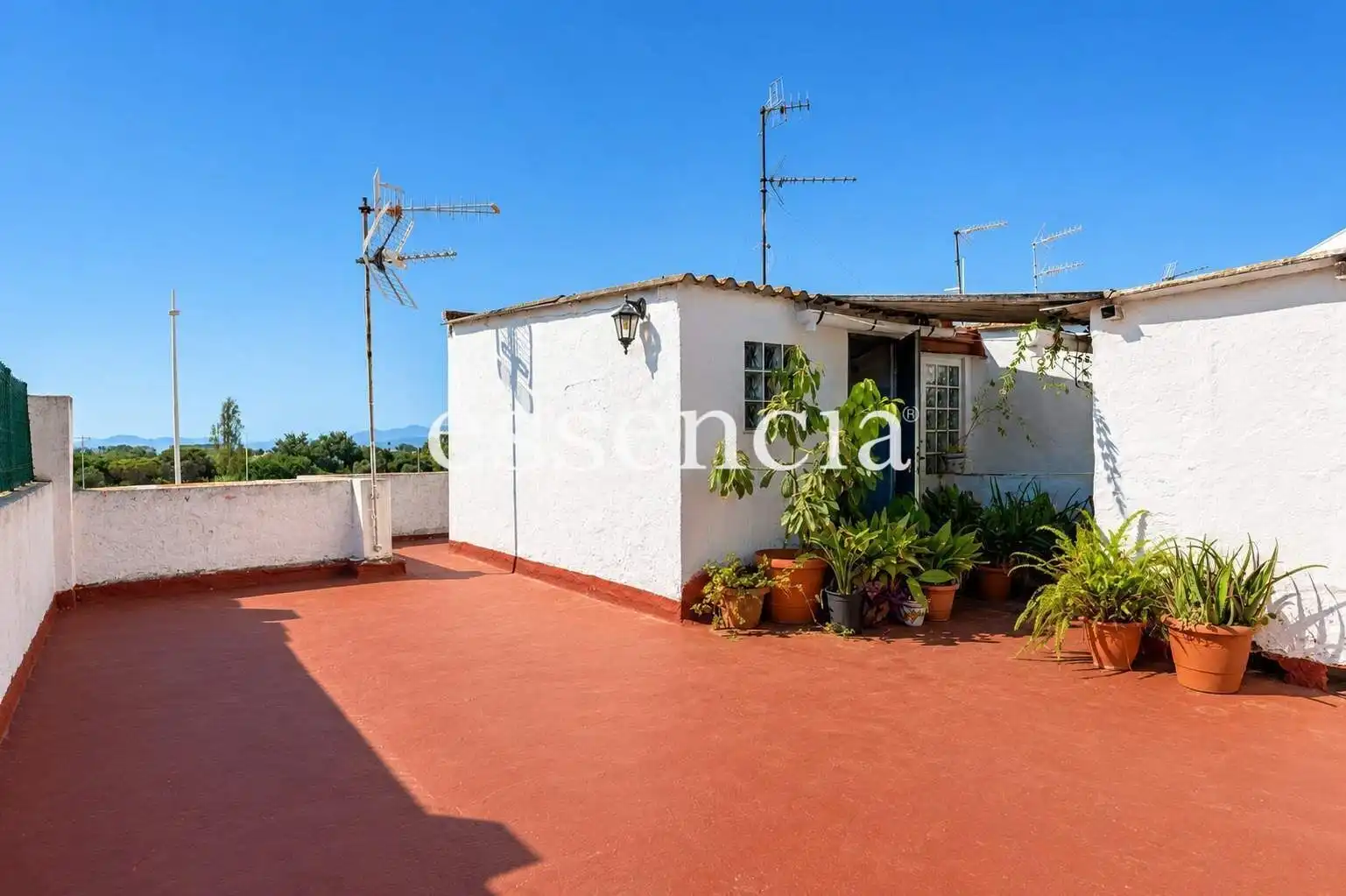 Vista exterior de Piso en venta en Gandia con Terraza y Balcón