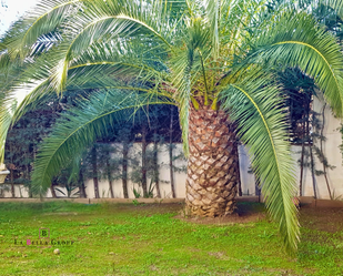 Garden of Single-family semi-detached for sale in Puertollano  with Heating, Private garden and Terrace
