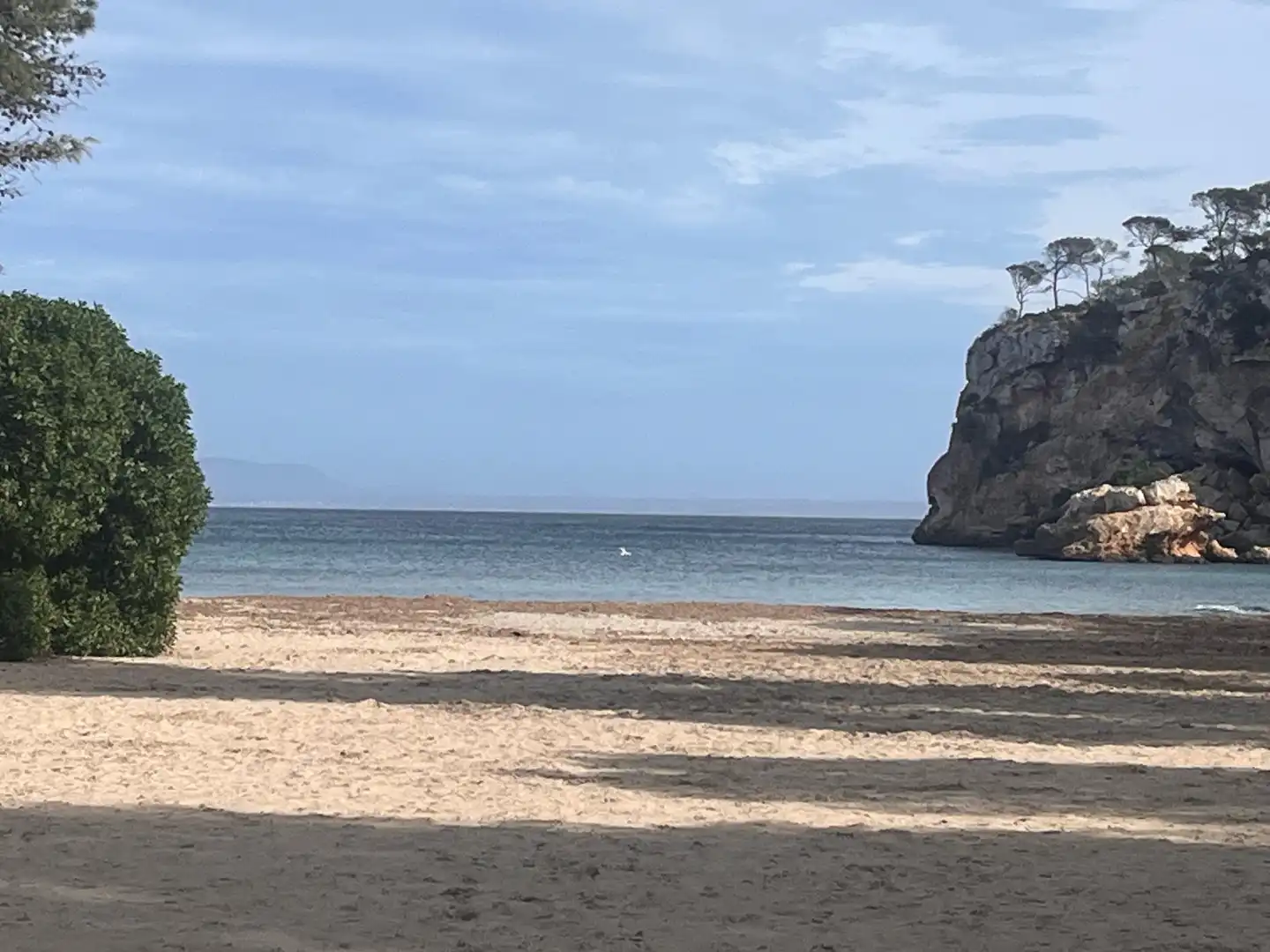 Apartament en venda a Sol de Mallorca