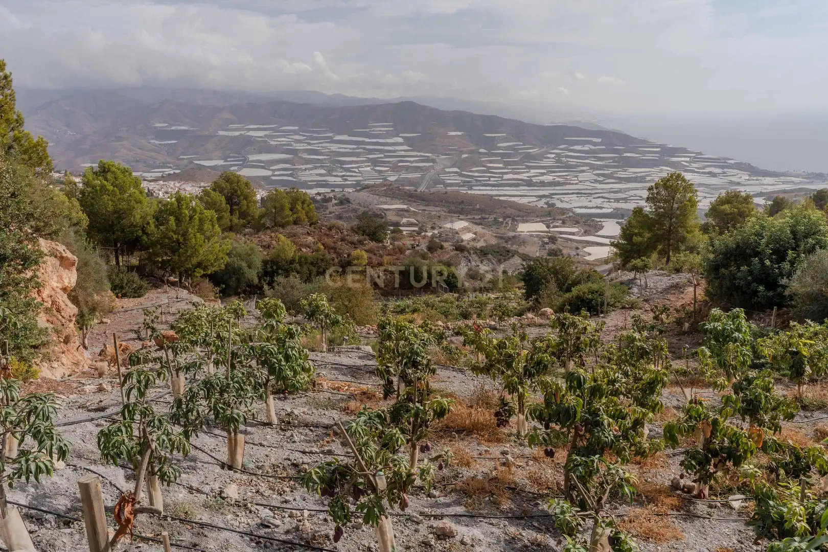Terreni e lotti in vendita a PHPX+WF Gualchos, Spain, imagen 46