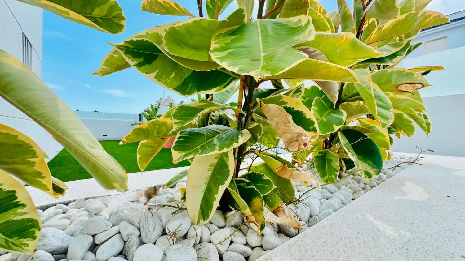 Maison mitoyenne avec jardin à vendre à Playa del Acequión, Náufragos y Rocío del Mar, imagen 47