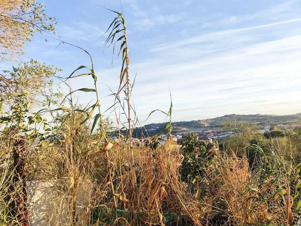 Terrenos y solares en venta en Nord-oest, imagen 5