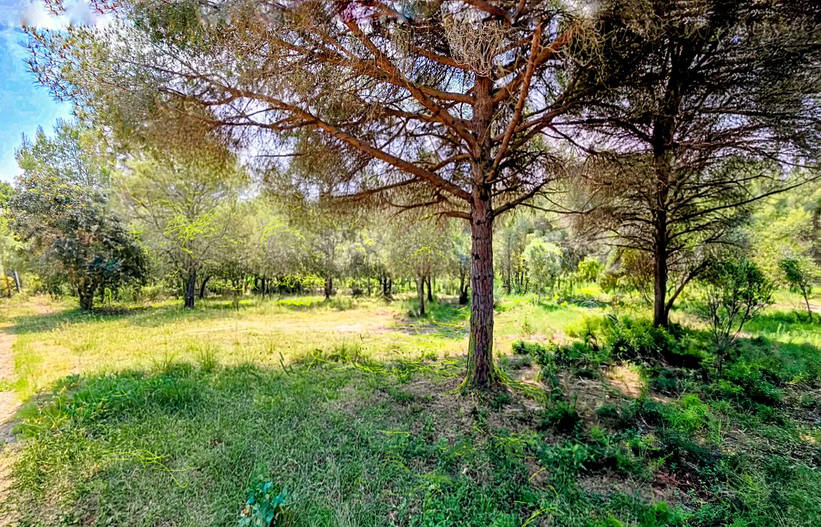 Land for sale in Begur