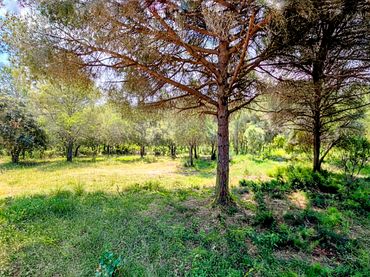 Terreno rustico in vendita a Fornells - Aiguablava