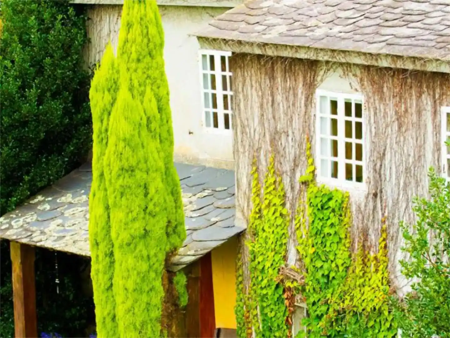 Vista exterior de Casa o xalet en venda en O Vicedo 