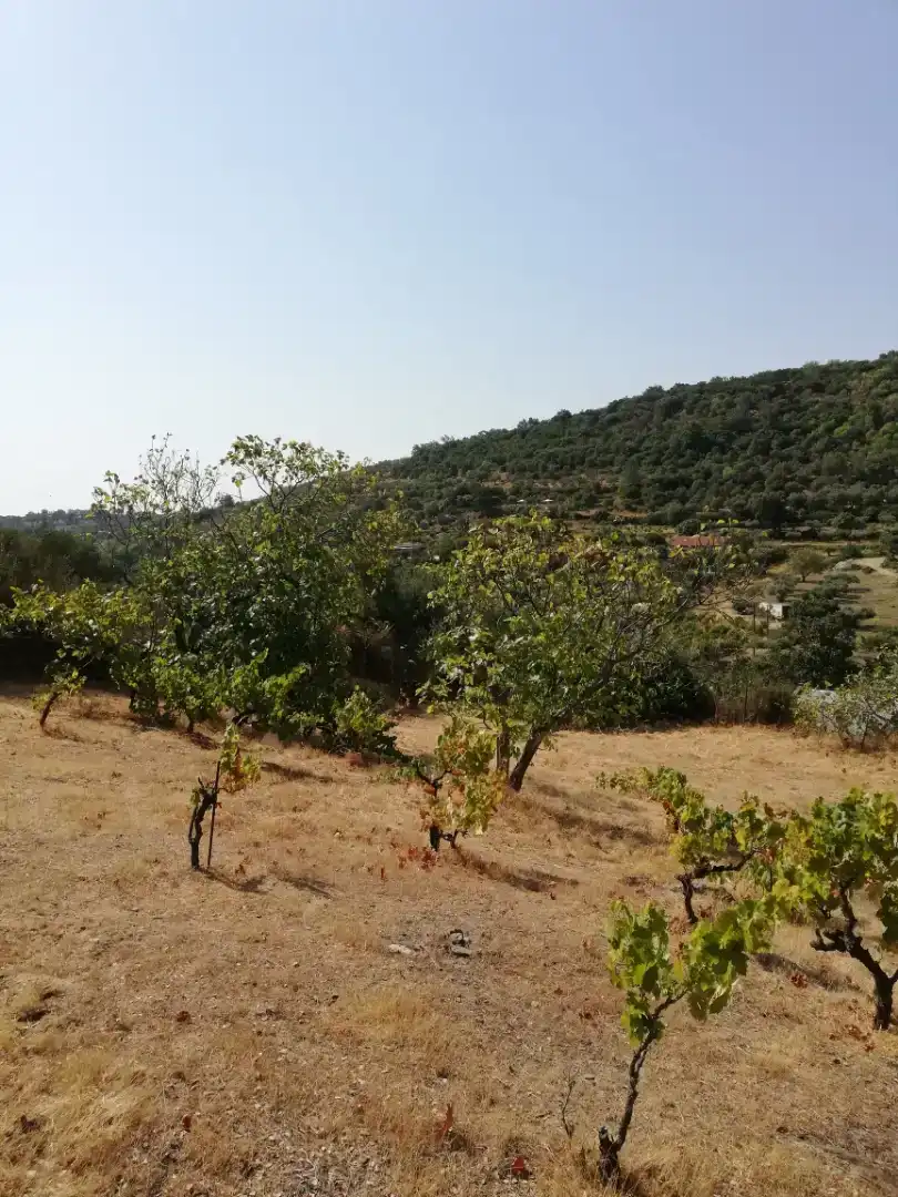 Finca rústica en venda en Plasencia amb Jardí privat, Traster i Piscina