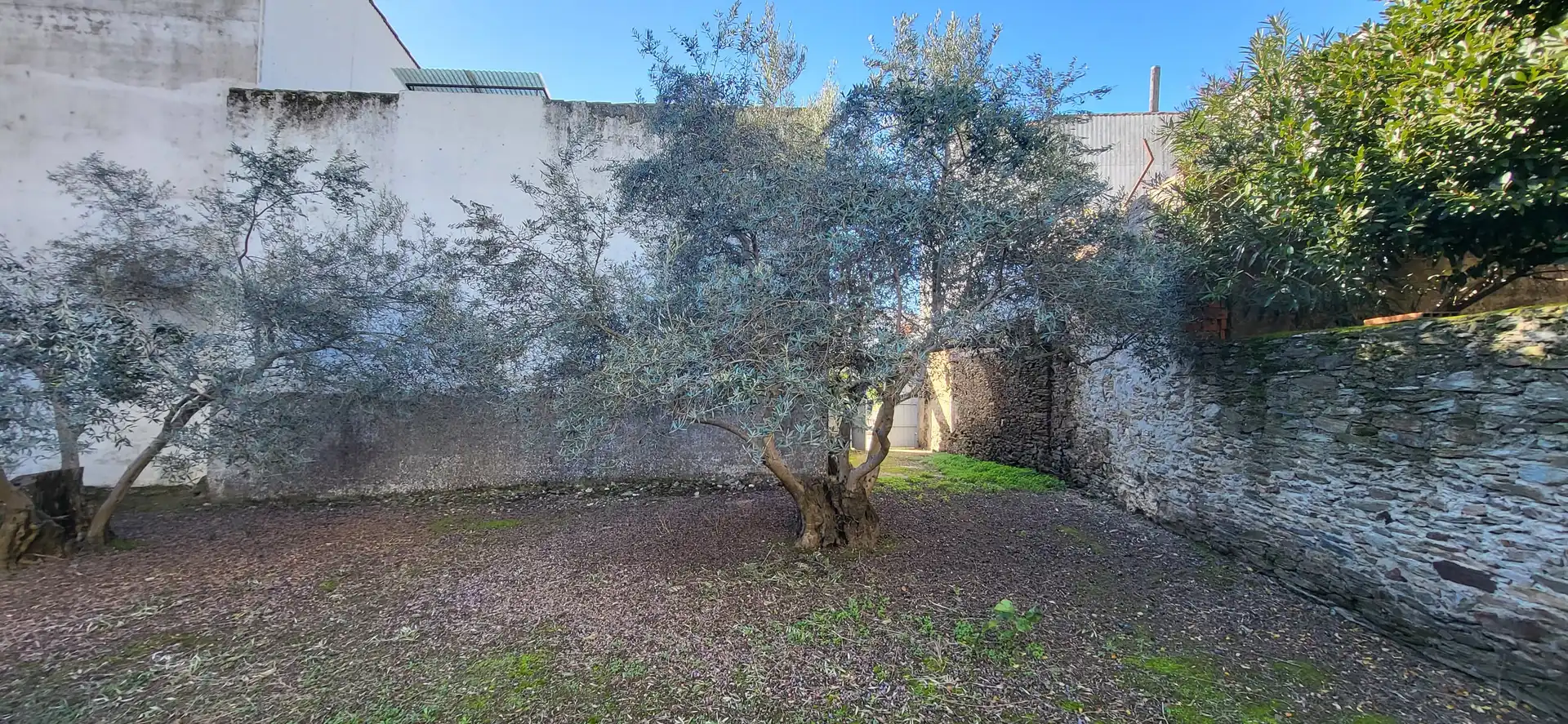 Terreni e lotti in vendita a Plaza San Gregorio, imagen 2