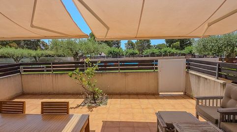 Planta baja independiente con un amplia terraza y trastero en Urbanización Garbí Alcanar Playa, imagen 3