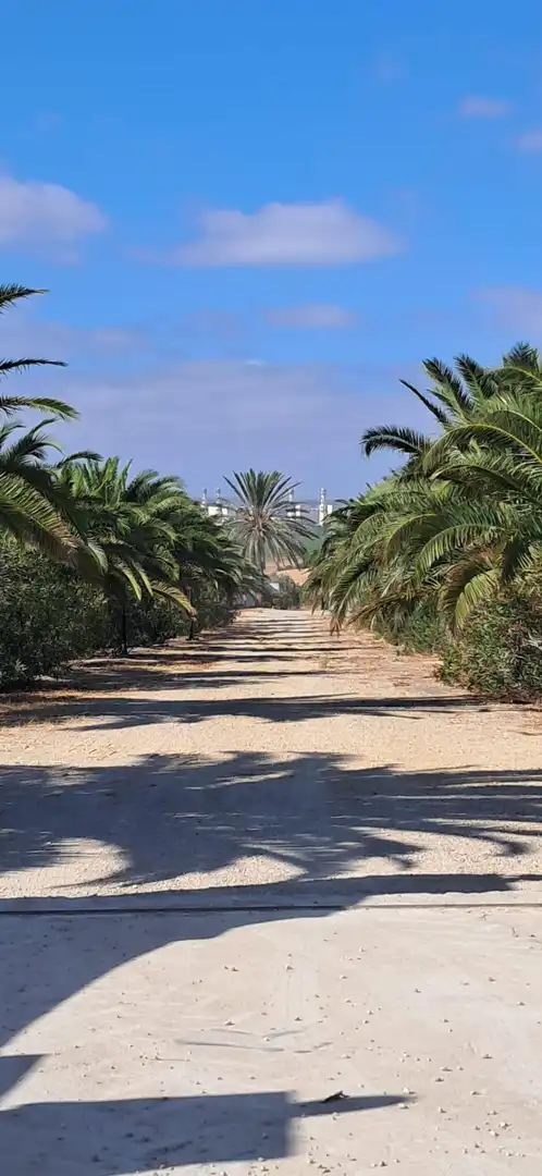 Casa rústica en venda a Arcos de la Frontera, imagen 2
