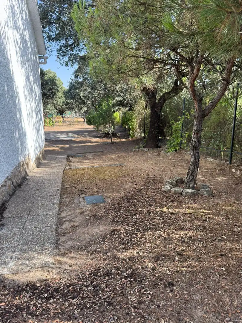 Houses for sale in Calle ROMERAL, Las Zorreras - Monte Encinar
