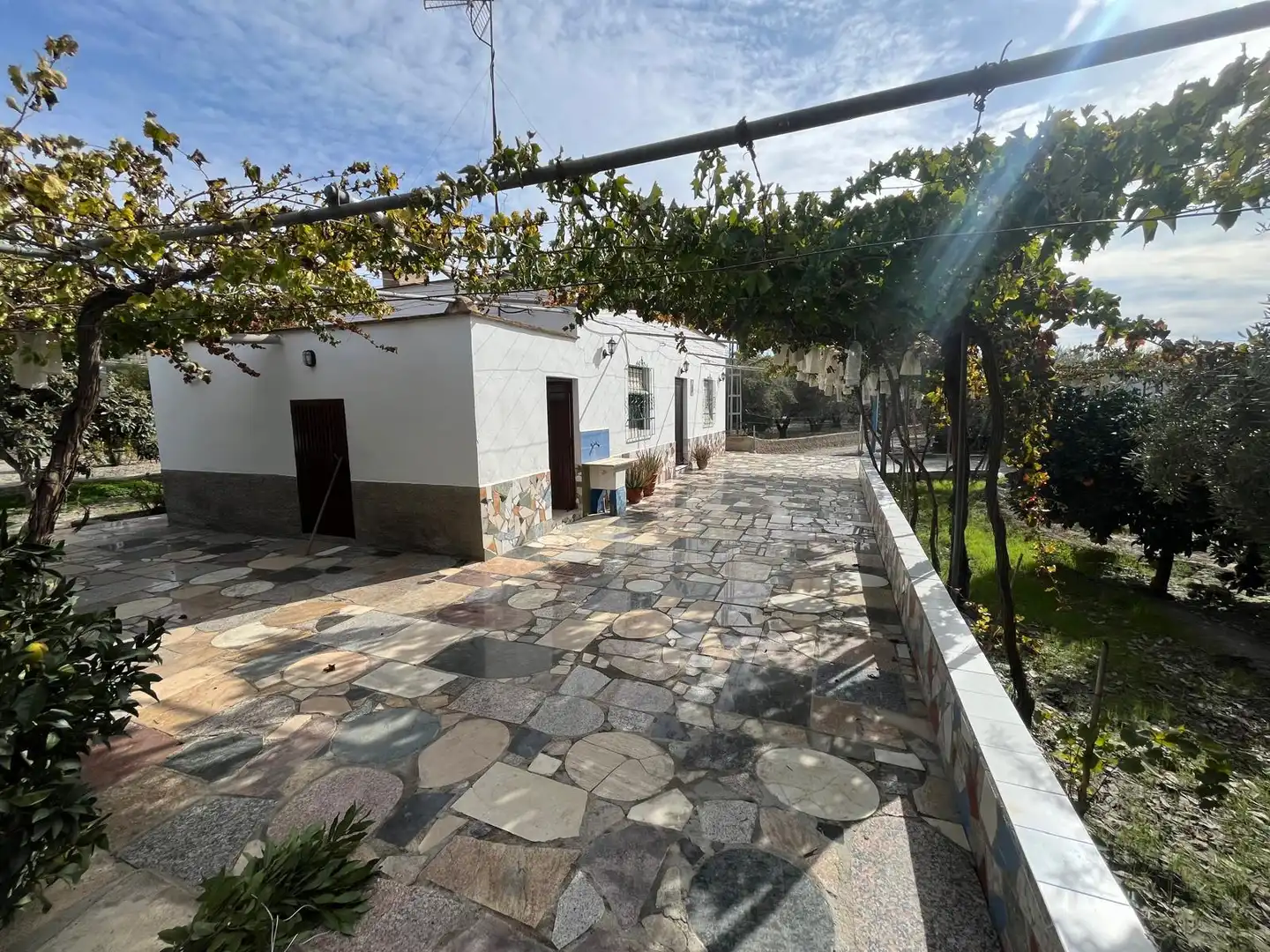 Jardín de Terreno en venta en Alsodux
