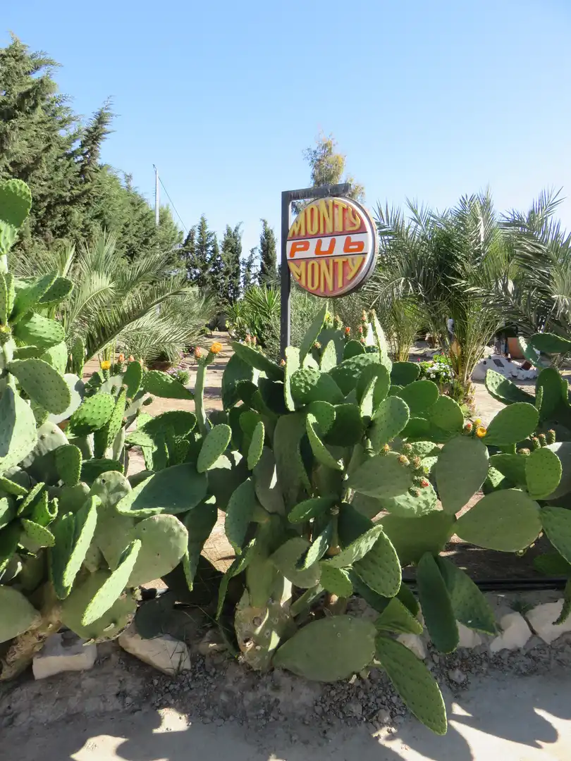 Finca rústica en venta en Murcia con Jardín privado, Terraza y Trastero