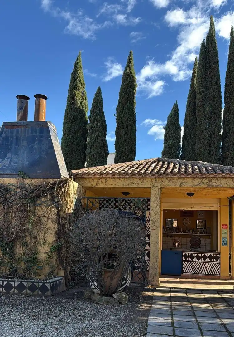 Vista exterior de Casa o chalet en venta en Almansa con Calefacción, Terraza y Piscina