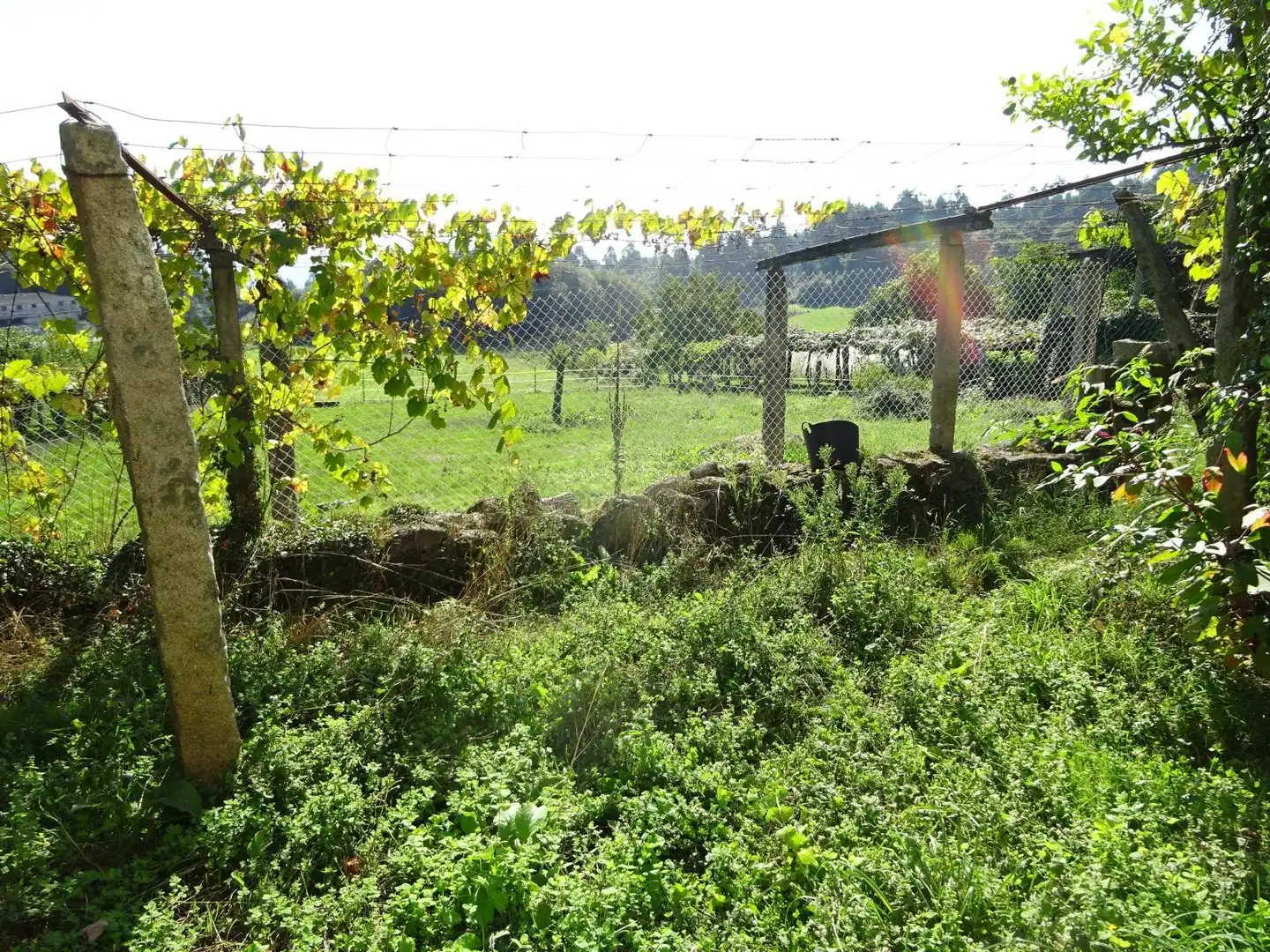 Garden of Houses for sale in Teo  with Storage room