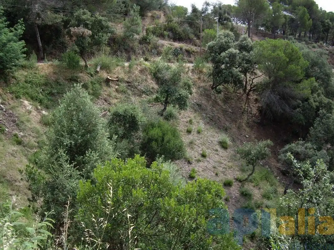 Terreny residencial en venda a Carrer Alzina