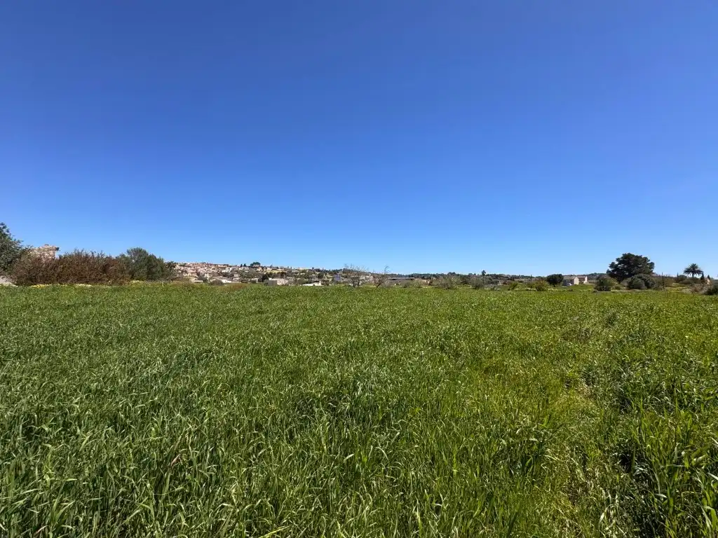 Terreno residenziale in vendita a Montuïri, imagen 6