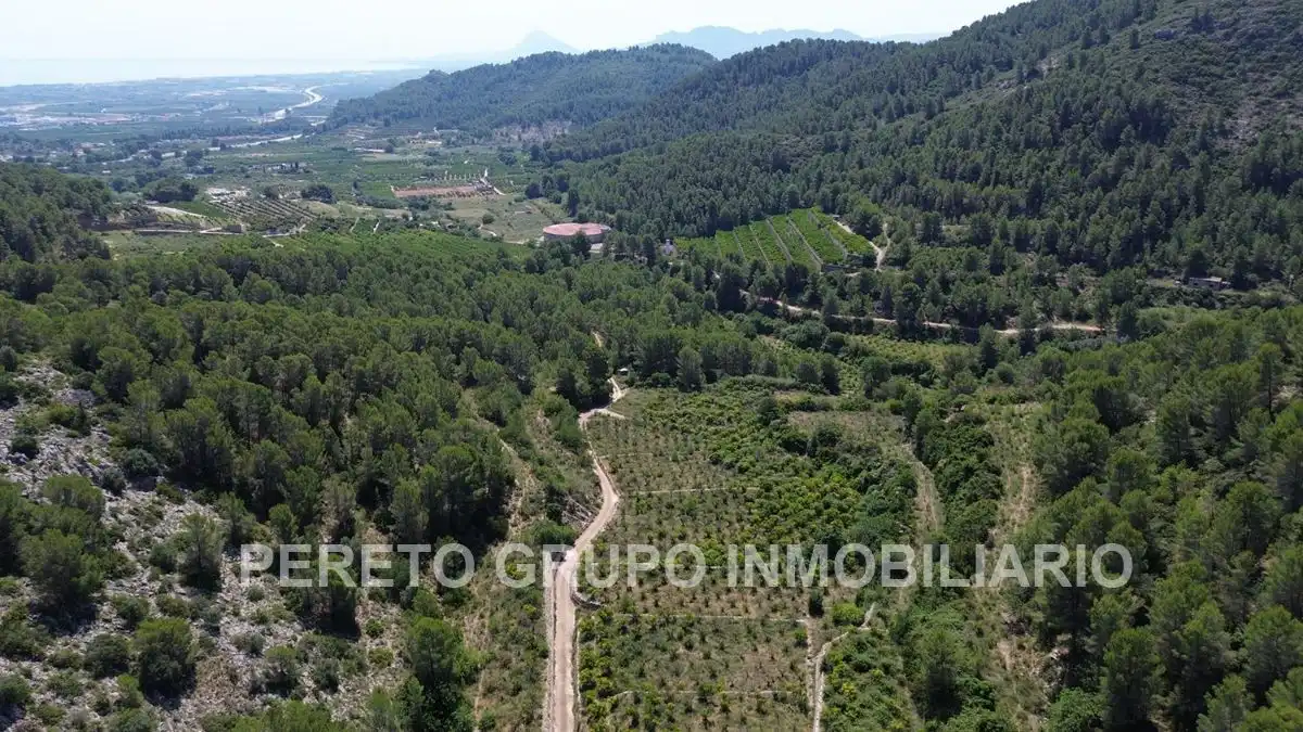 Terreno residencial en venta en Oliva pueblo, imagen 2