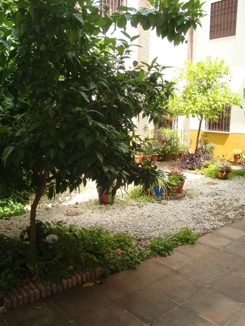 Jardín de Apartamento en venta en Córdoba con Aire acondicionado, Calefacción y Lavadora