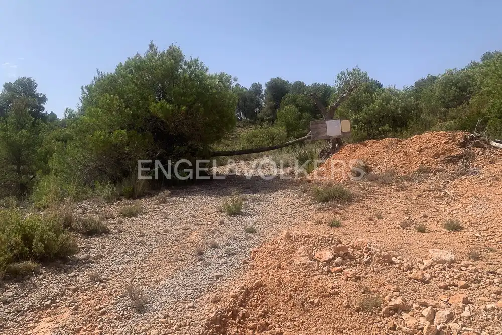 Lands and plots for sale in Requena, imagen 12