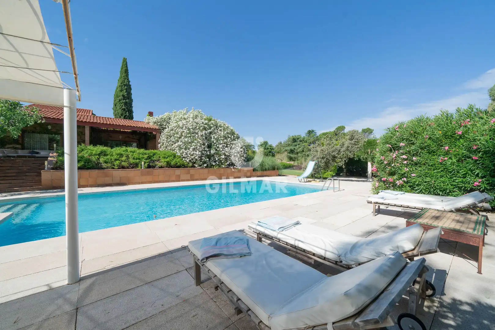 Jardín de Casa o chalet en venta en Algete con Piscina