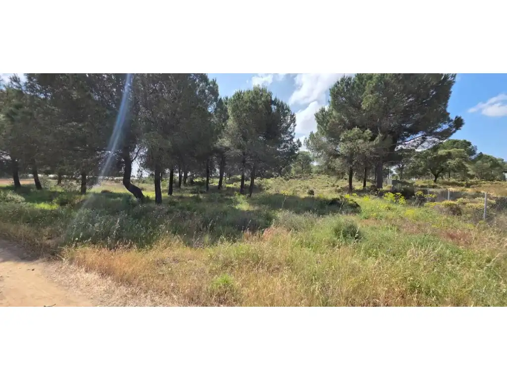 Terreny rústic en venda a Villablanca, imagen 2